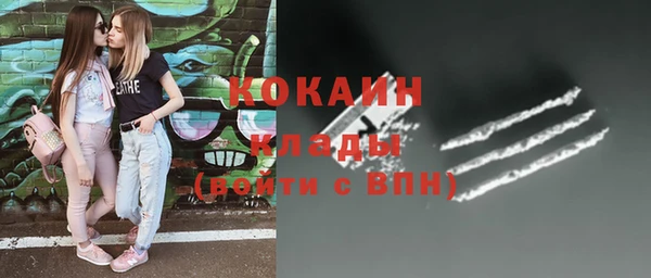 индика Куйбышев