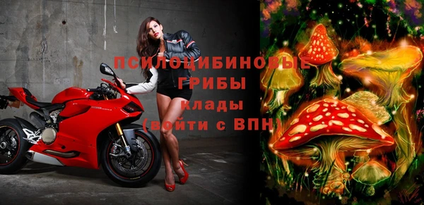 spice Алзамай