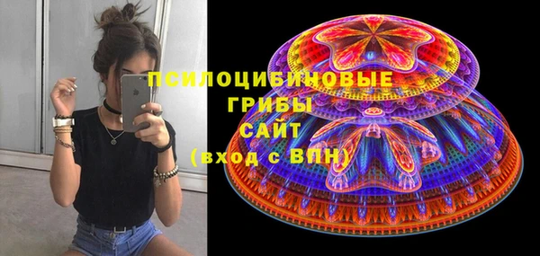 ГАЛЛЮЦИНОГЕННЫЕ ГРИБЫ Ладушкин