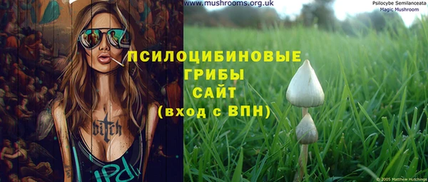 spice Алзамай