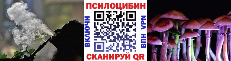 Галлюциногенные грибы Cubensis  ОМГ ОМГ   Анжеро-Судженск 